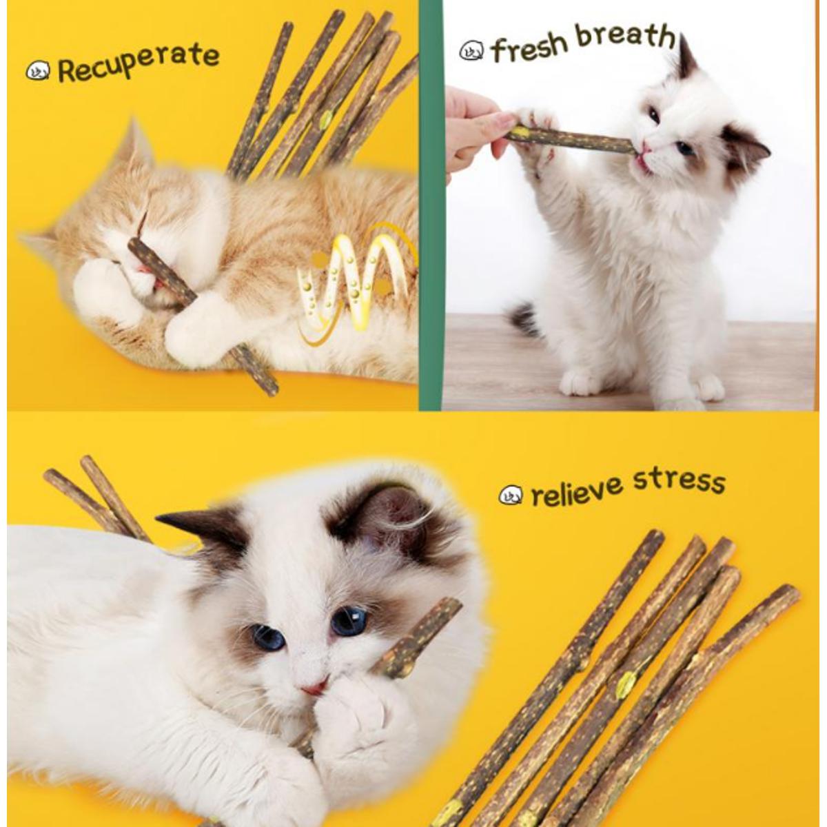 5pcs Catnip Sticks for Cat Chew Toys
