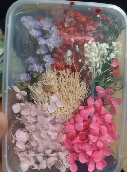 Natural Pressed Dried Flowers for Resin Art DIY Crafts Epoxy Resin Mold Decoration Floral Nail Art Candle Making Scrapbooking Handmade Jewelry Supplies Set