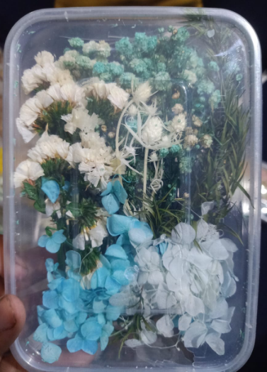 Natural Pressed Dried Flowers for Resin Art DIY Crafts Epoxy Resin Mold Decoration Floral Nail Art Candle Making Scrapbooking Handmade Jewelry Supplies Set