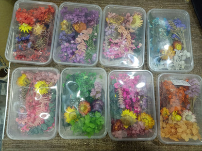 Natural Pressed Dried Flowers for Resin Art DIY Crafts Epoxy Resin Mold Decoration Floral Nail Art Candle Making Scrapbooking Handmade Jewelry Supplies Set