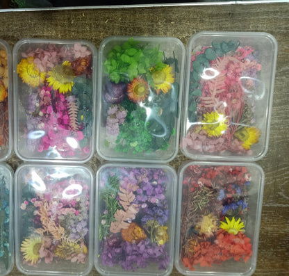 Natural Pressed Dried Flowers for Resin Art DIY Crafts Epoxy Resin Mold Decoration Floral Nail Art Candle Making Scrapbooking Handmade Jewelry Supplies Set