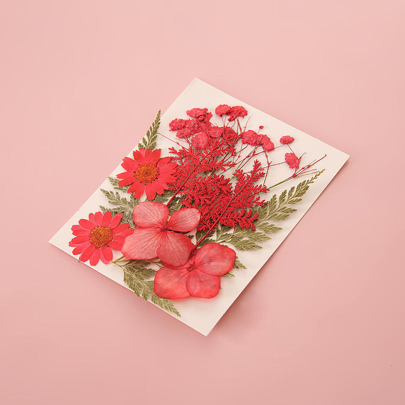 Pressed Dried Flowers for Resin & Crafts