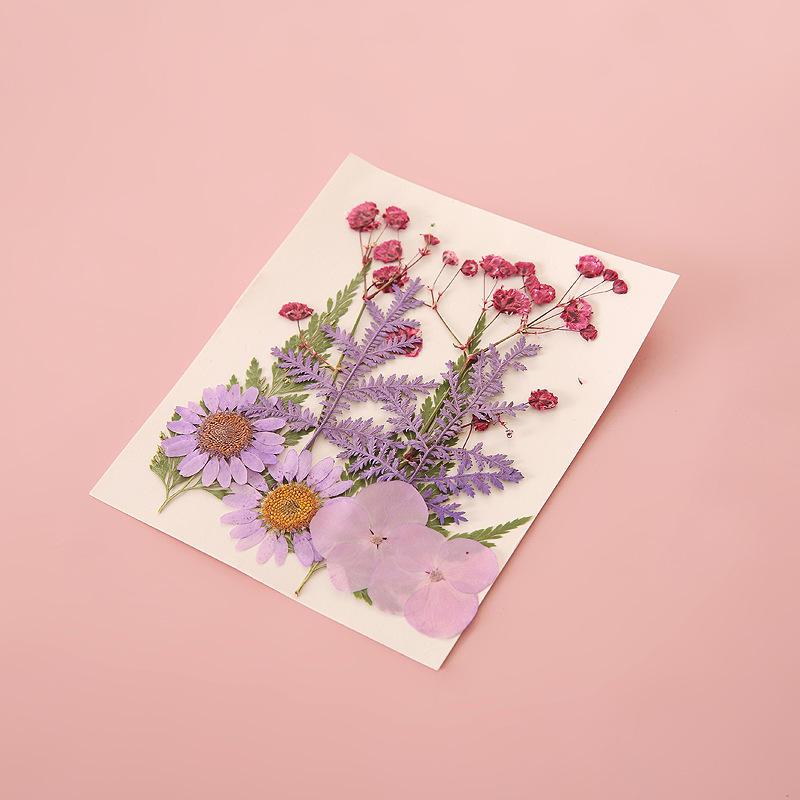 Pressed Dried Flowers for Resin & Crafts