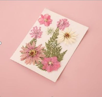 Pressed Dried Flowers for Resin & Crafts