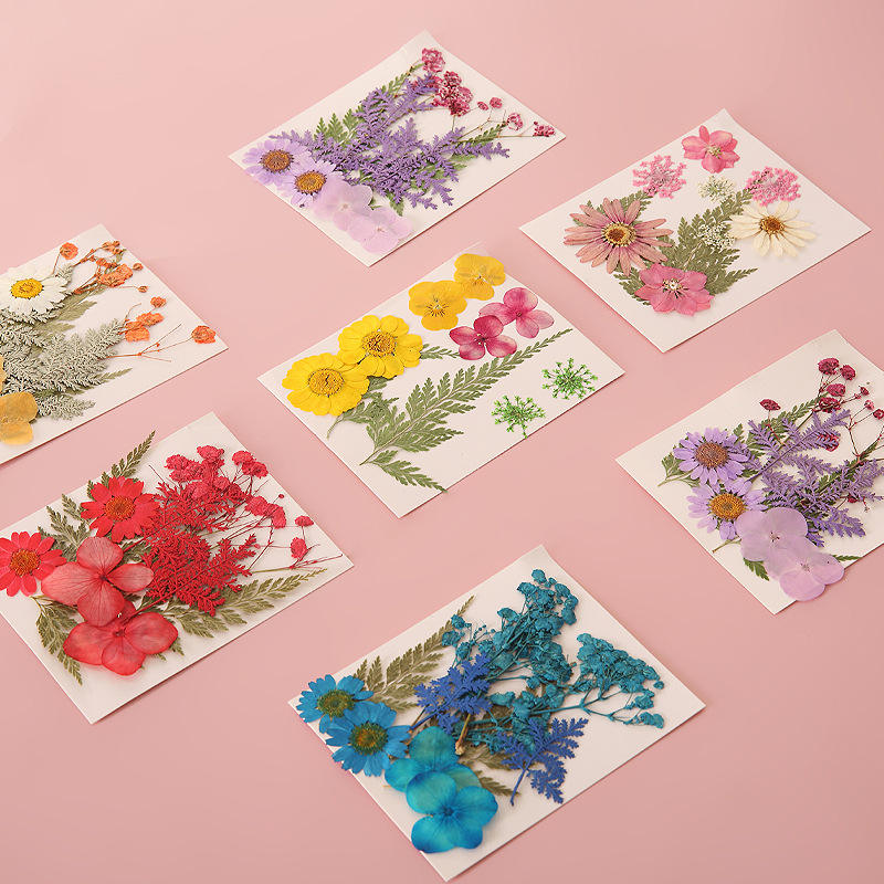 Pressed Dried Flowers for Resin & Crafts