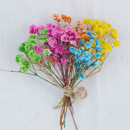 Mini Baby Breath Dried Flowers for Resin Crafts