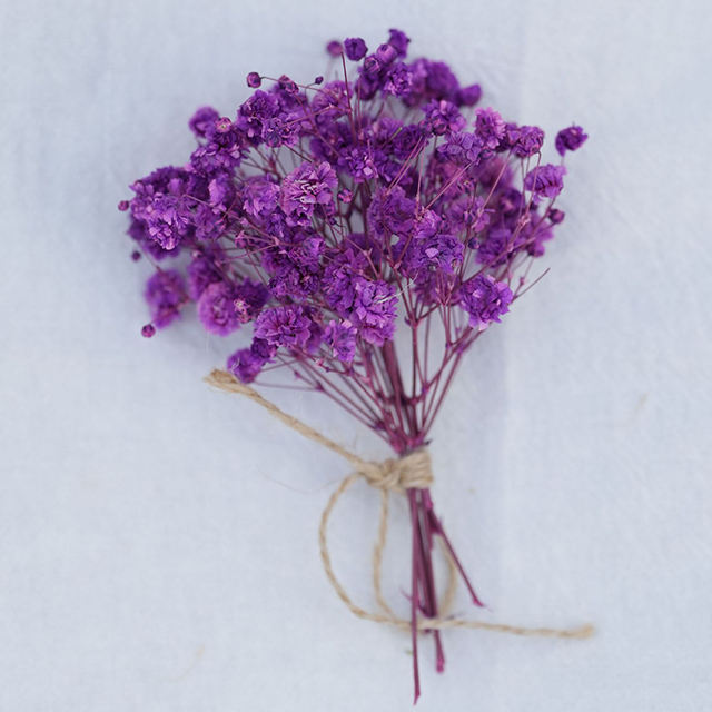 Mini Baby Breath Dried Flowers for Resin Crafts