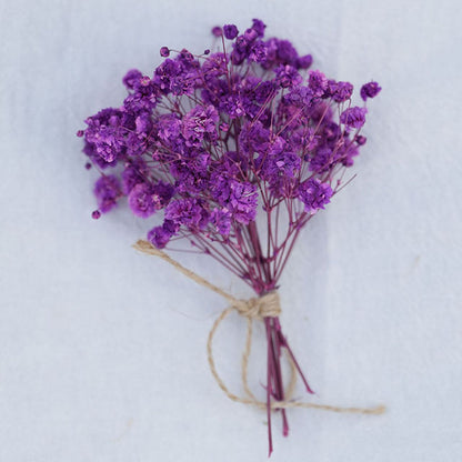 Mini Baby Breath Dried Flowers for Resin Crafts