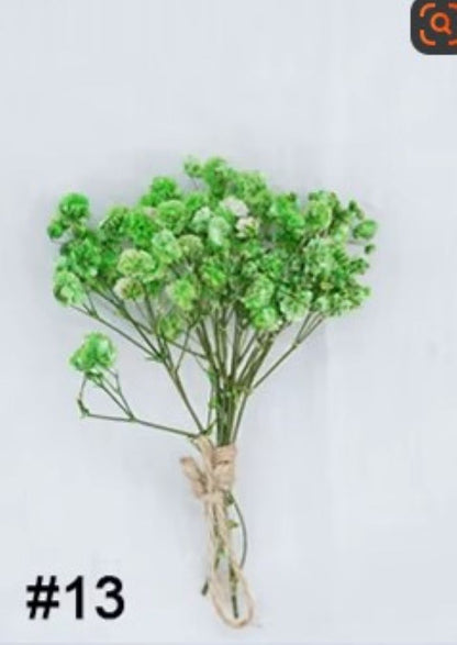 Mini Baby Breath Dried Flowers for Resin Crafts