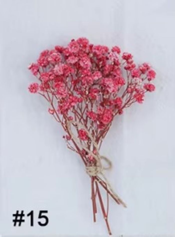 Mini Baby Breath Dried Flowers for Resin Crafts