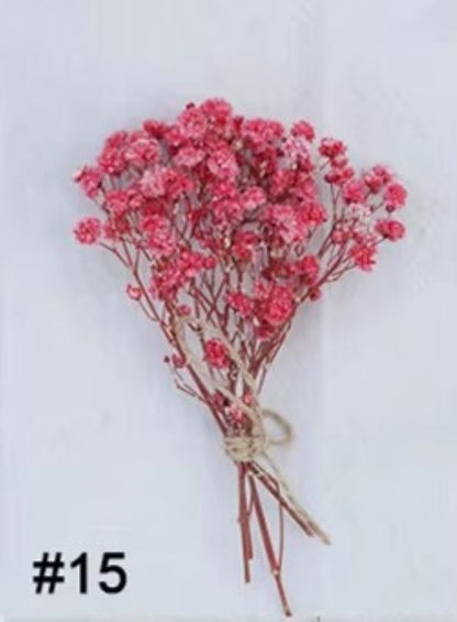 Mini Baby Breath Dried Flowers for Resin Crafts