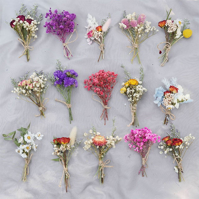 Mini Baby Breath Dried Flowers for Resin Crafts