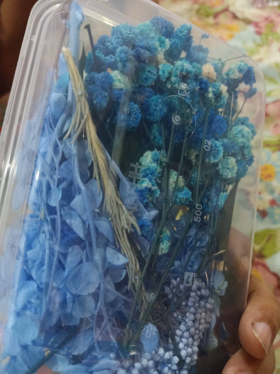 Mixed Color Dried Flowers for Resin & Crafts