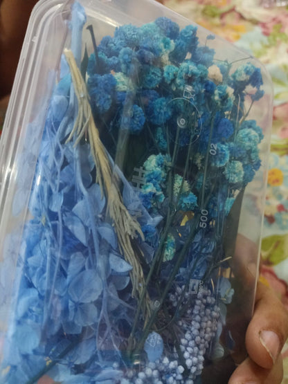 Mixed Color Dried Flowers for Resin & Crafts