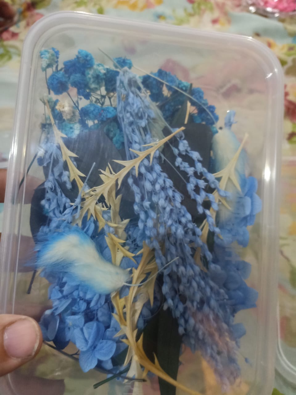 Mixed Color Dried Flowers for Resin & Crafts
