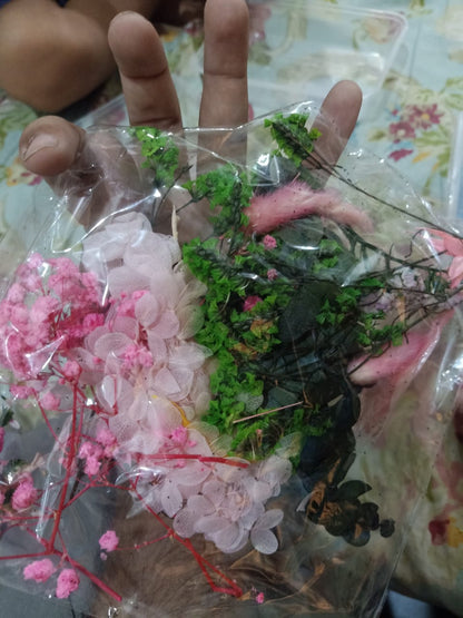 Mixed Color Dried Flowers for Resin & Crafts