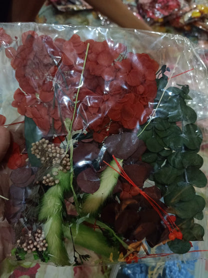 Mixed Color Dried Flowers for Resin & Crafts