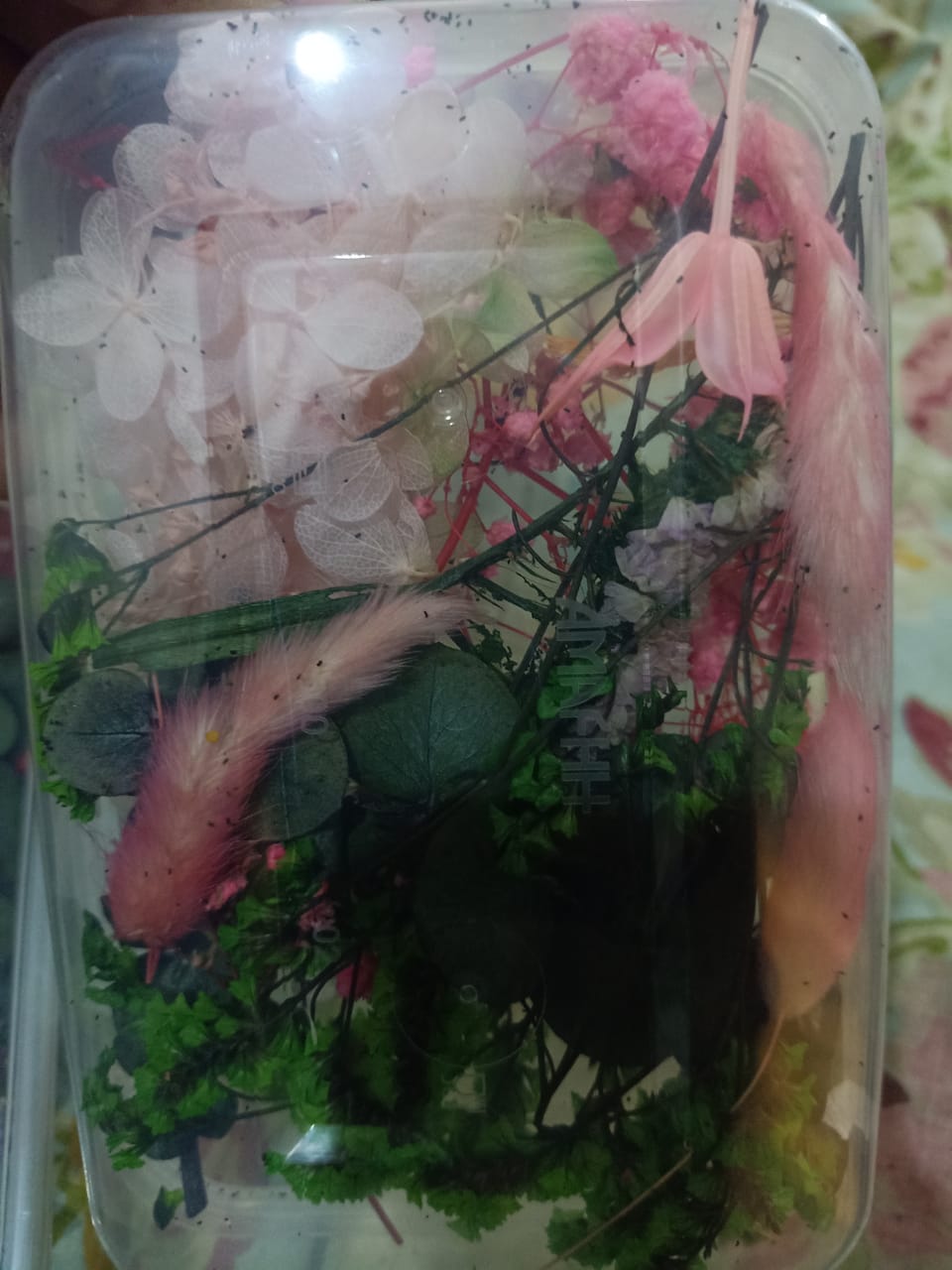 Mixed Color Dried Flowers for Resin & Crafts