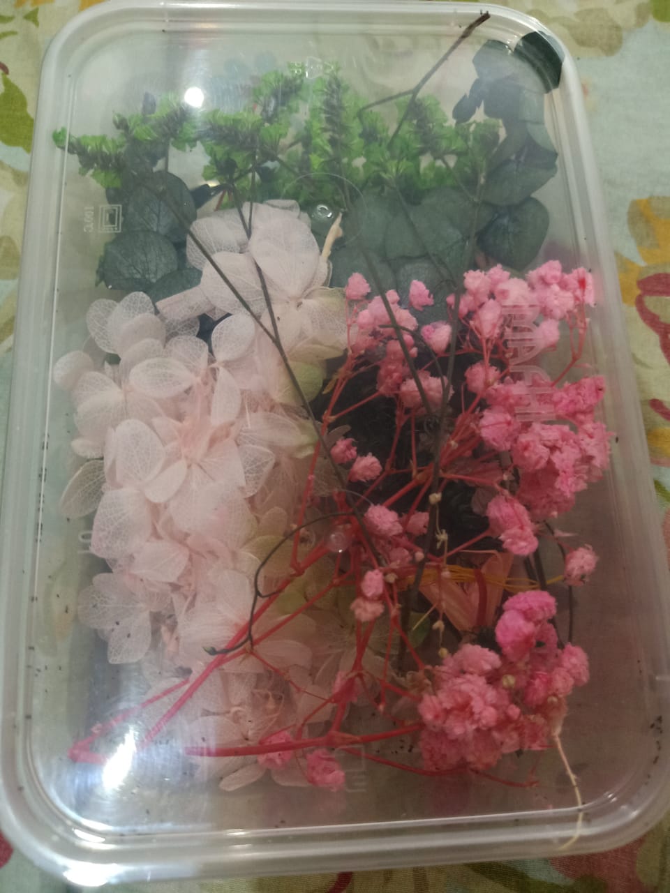 Mixed Color Dried Flowers for Resin & Crafts
