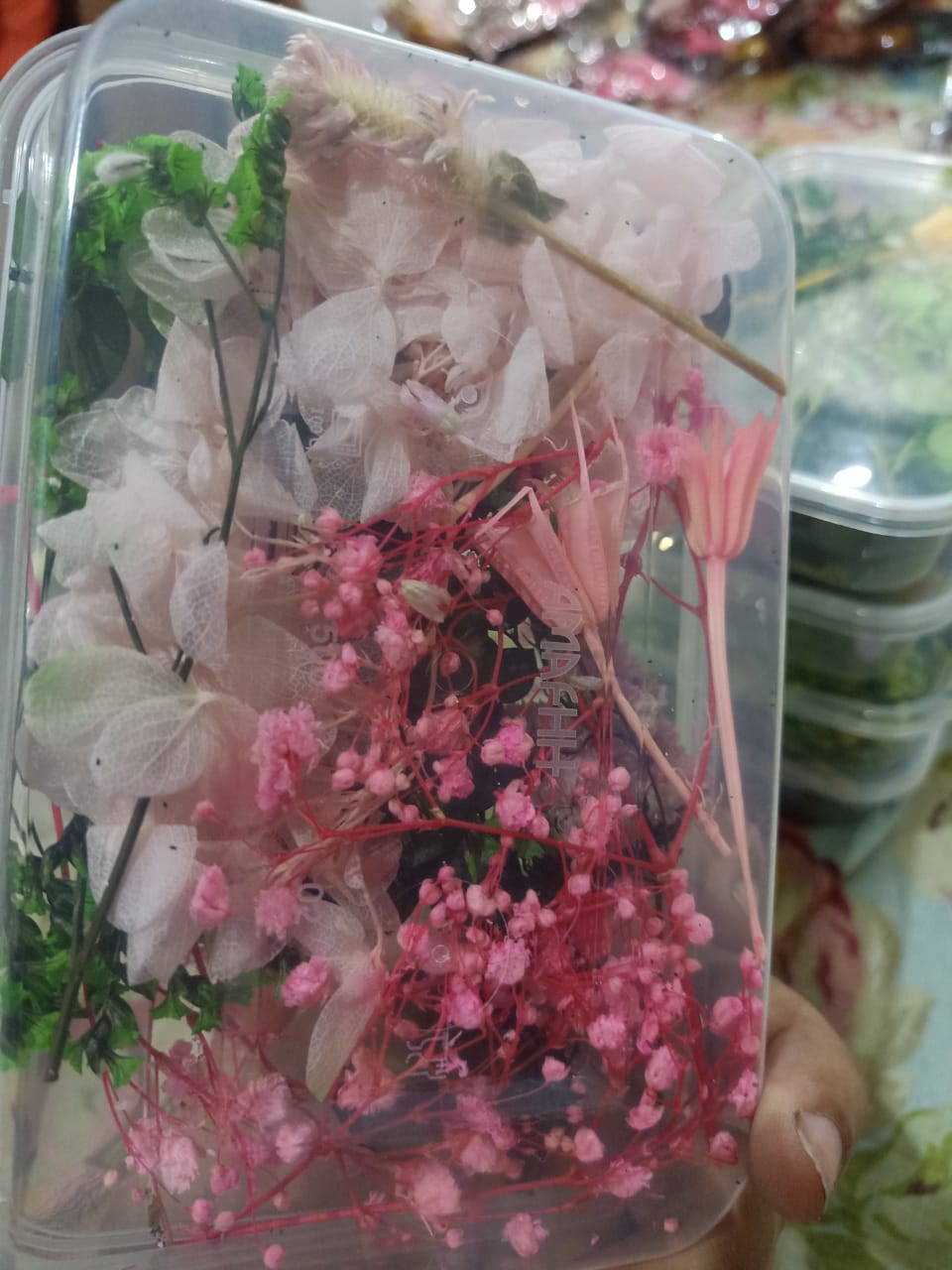 Mixed Color Dried Flowers for Resin & Crafts