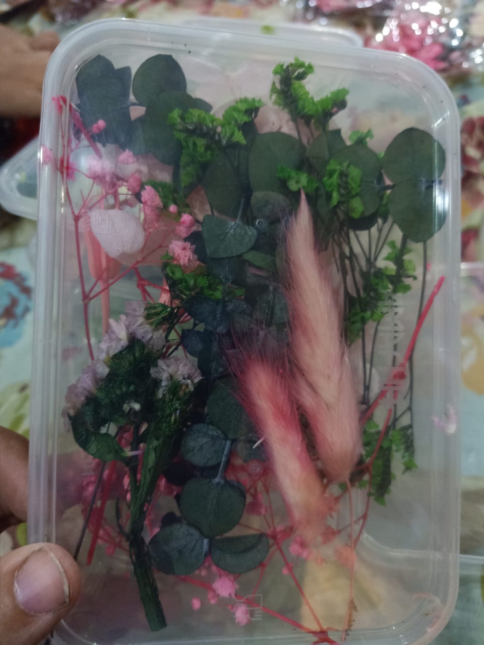 Mixed Color Dried Flowers for Resin & Crafts