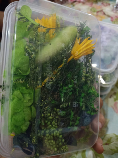 Mixed Color Dried Flowers for Resin & Crafts