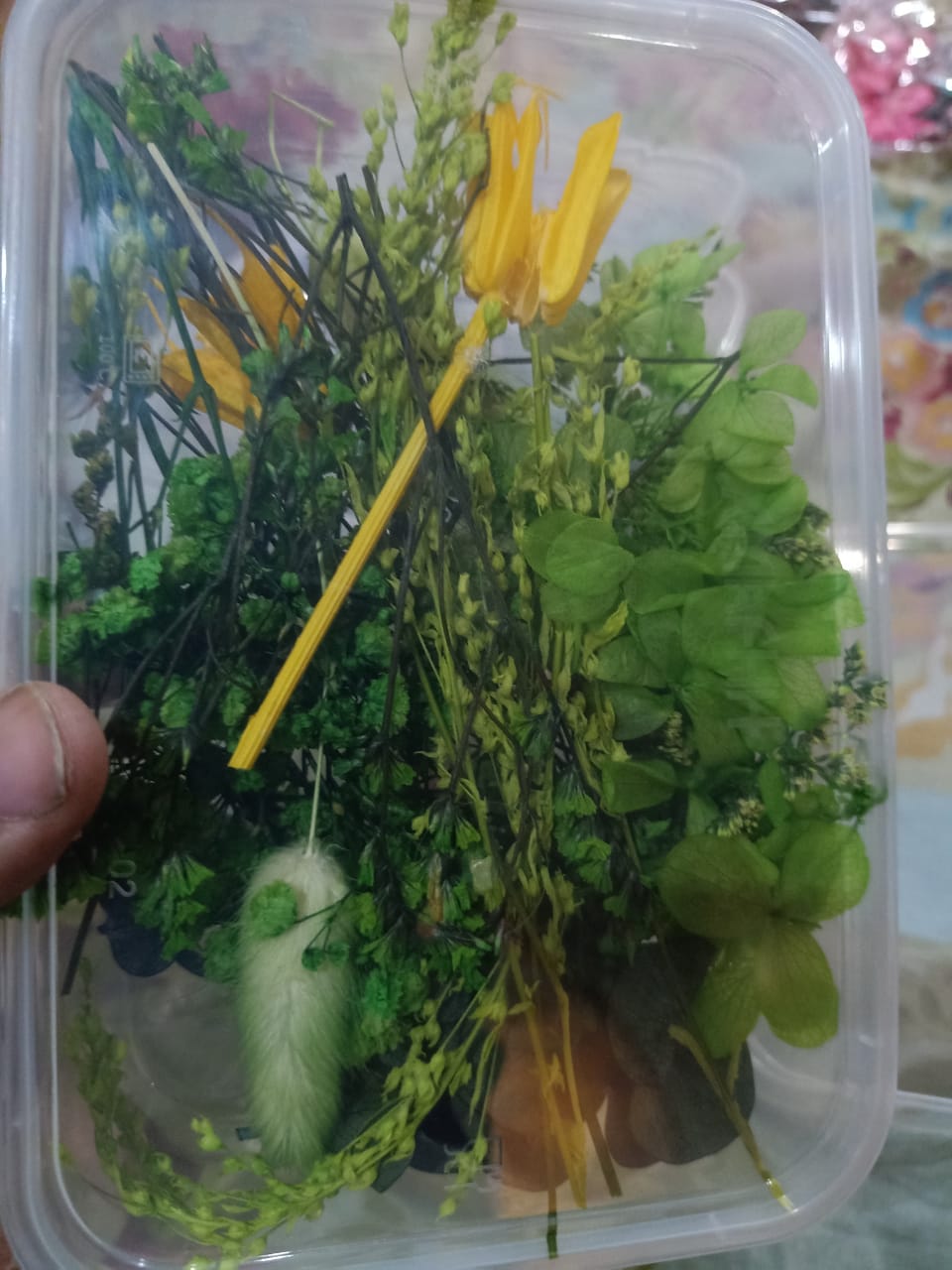 Mixed Color Dried Flowers for Resin & Crafts