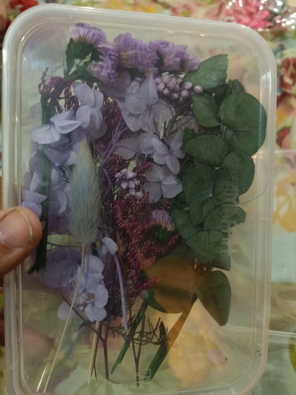 Mixed Color Dried Flowers for Resin & Crafts