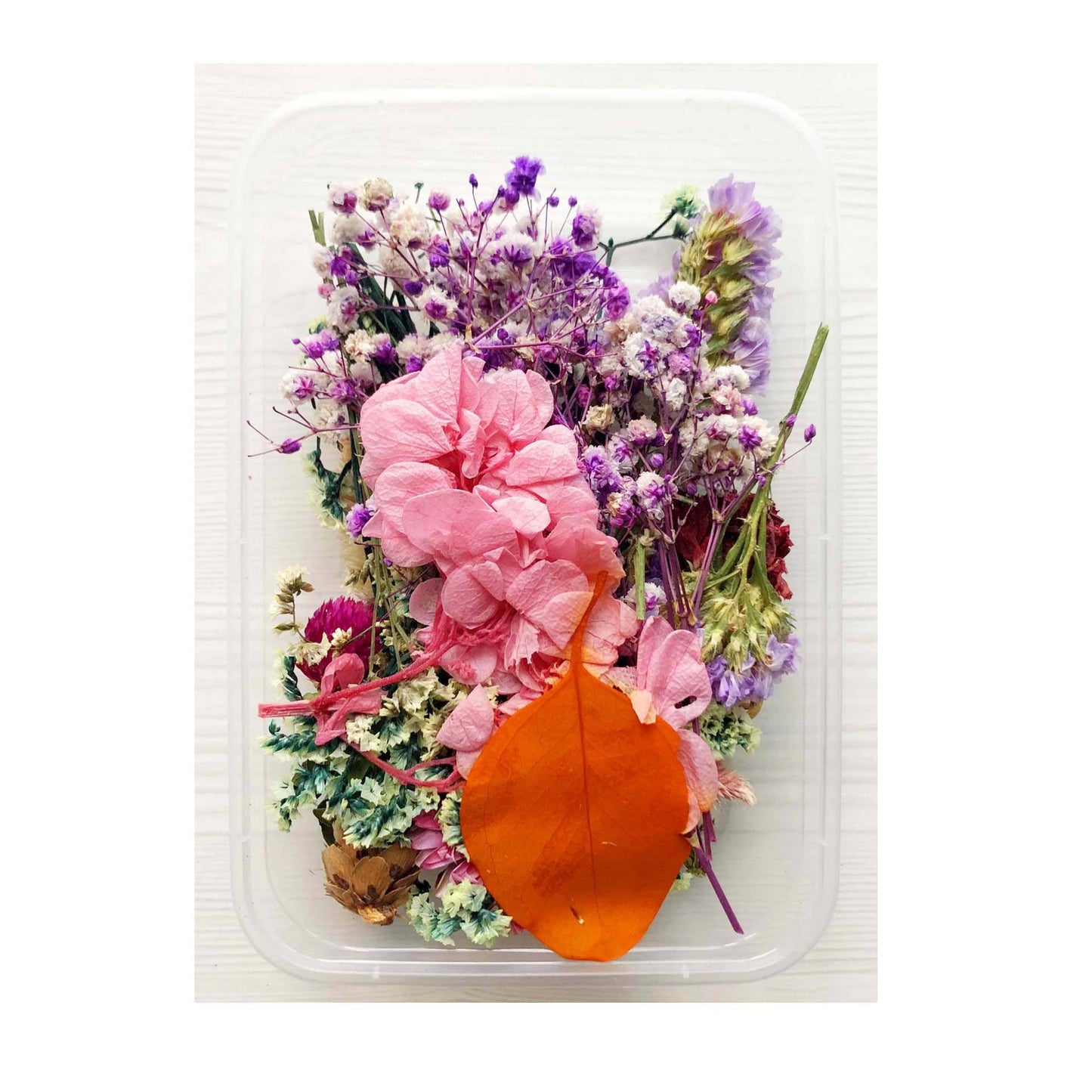 Wholesale Natural Dried Flowers for Resin & Home Decor