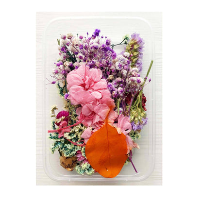 Wholesale Natural Dried Flowers for Resin & Home Decor
