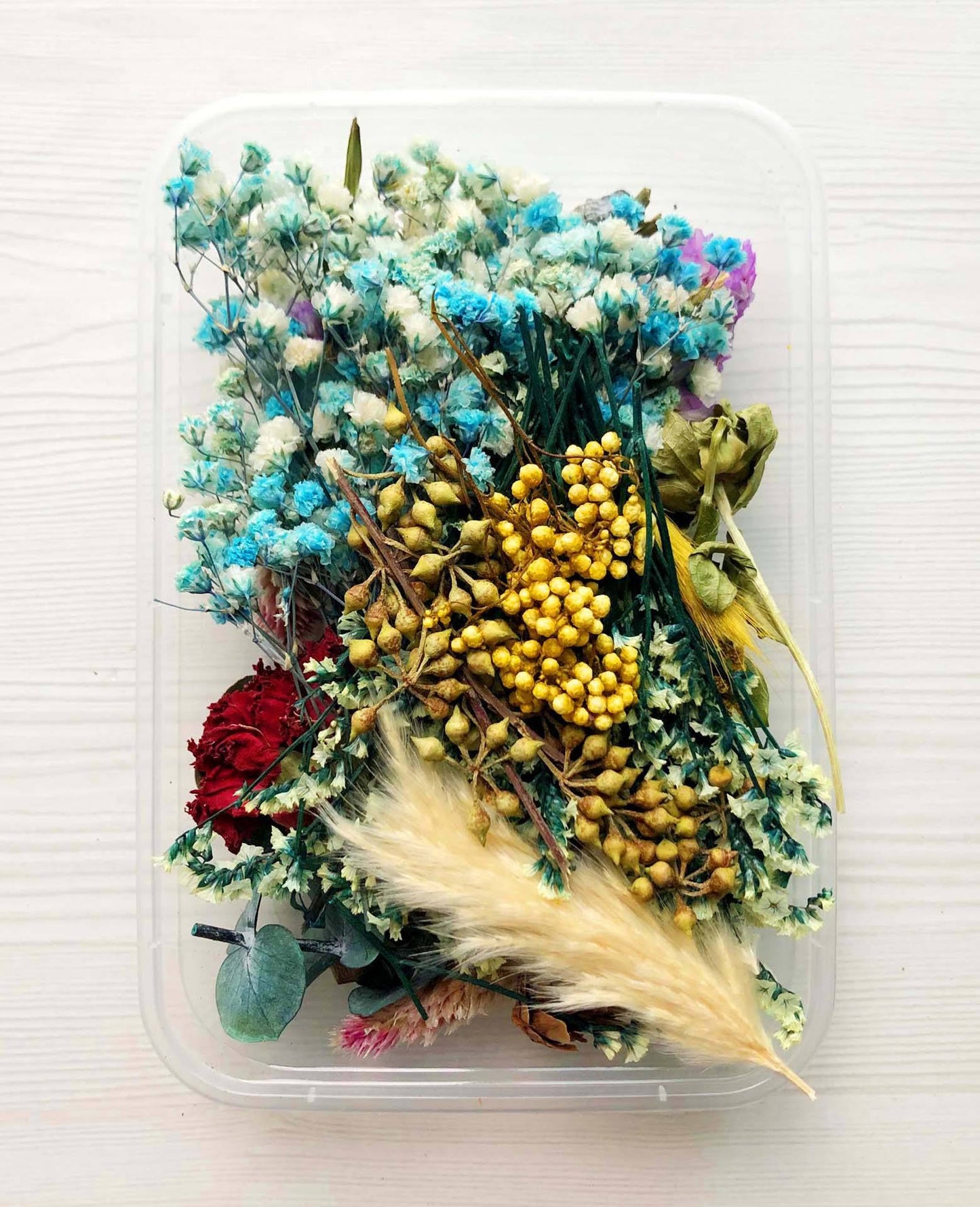 Wholesale Natural Dried Flowers for Resin & Home Decor