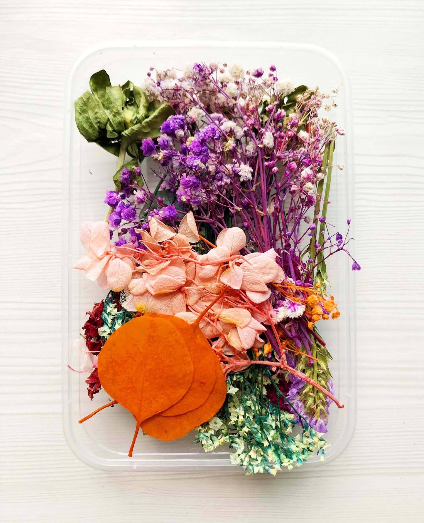 Wholesale Natural Dried Flowers for Resin & Home Decor