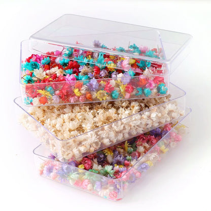 200pcs Mini Dried Flowers for Resin, Jewelry & Nail Art