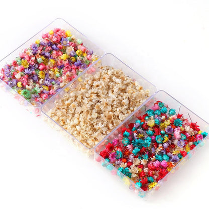 200pcs Mini Dried Flowers for Resin, Jewelry & Nail Art