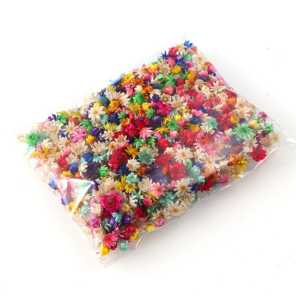 200pcs Mini Dried Flowers for Resin, Jewelry & Nail Art