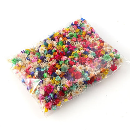 200pcs Mini Dried Flowers for Resin, Jewelry & Nail Art