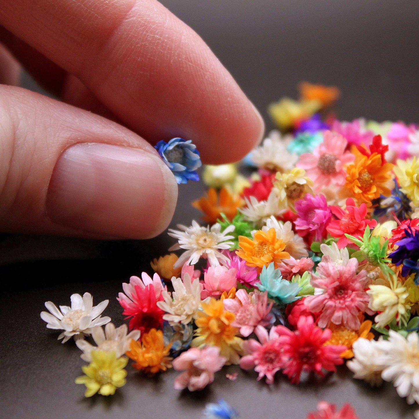 200pcs Mini Dried Flowers for Resin, Jewelry & Nail Art