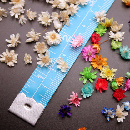 200pcs Mini Dried Flowers for Resin, Jewelry & Nail Art