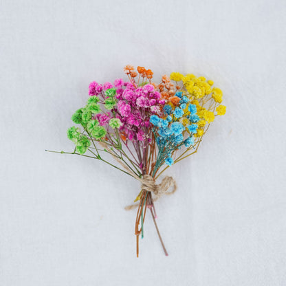 Baby Breath Dried Flowers for Resin Crafts