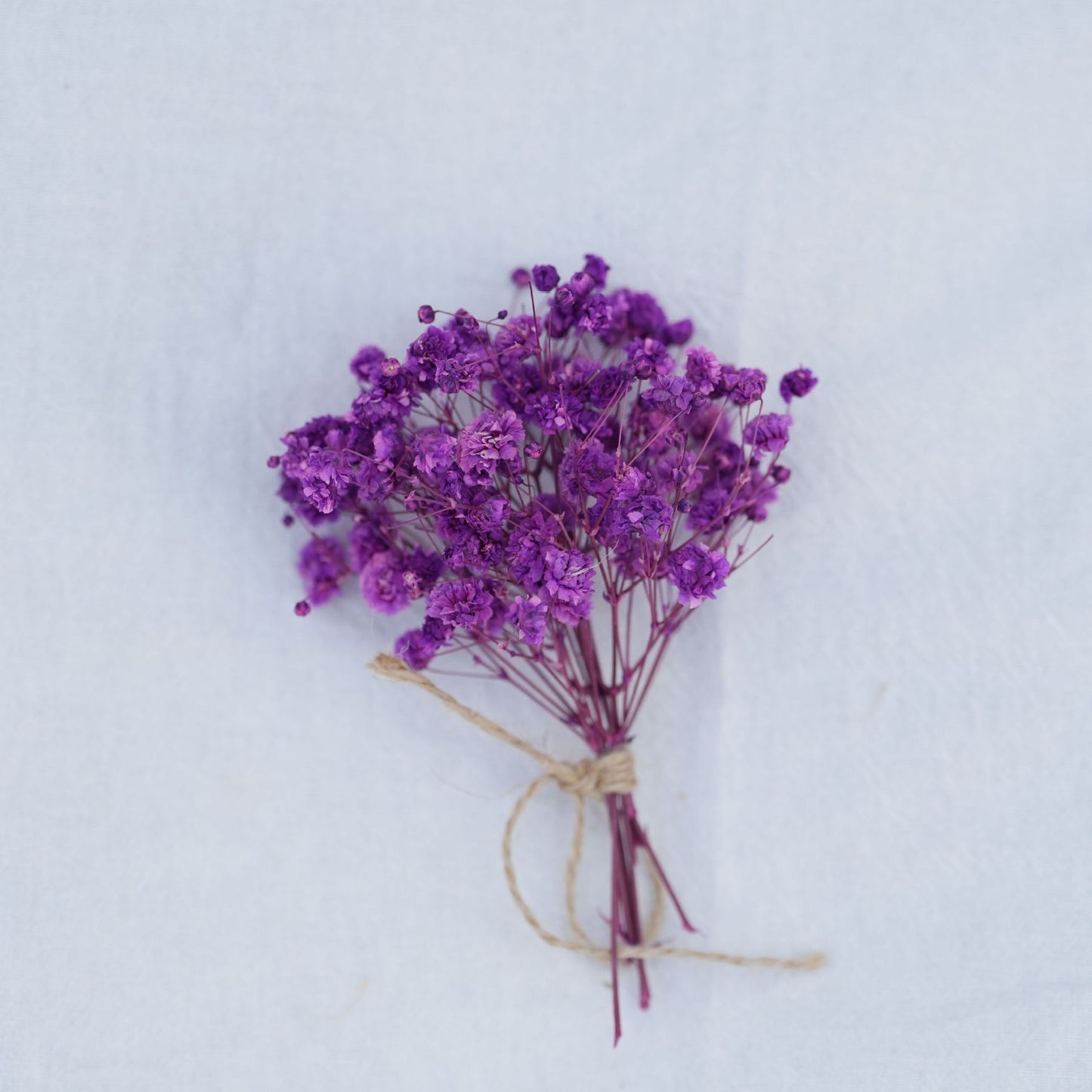 Baby Breath Dried Flowers for Resin Crafts
