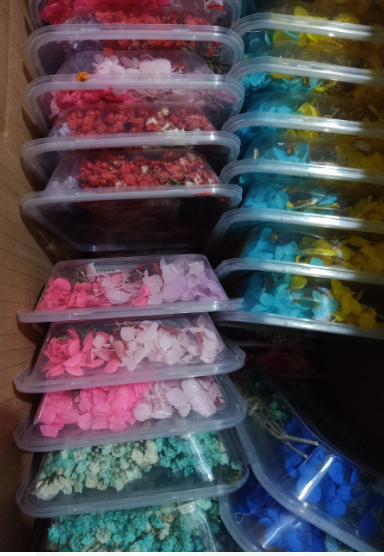 Natural Pressed Dried Flowers for Resin Art DIY Crafts Epoxy Resin Mold Decoration Floral Nail Art Candle Making Scrapbooking Handmade Jewelry Supplies Set