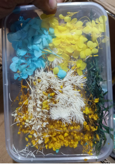 Natural Pressed Dried Flowers for Resin Art DIY Crafts Epoxy Resin Mold Decoration Floral Nail Art Candle Making Scrapbooking Handmade Jewelry Supplies Set
